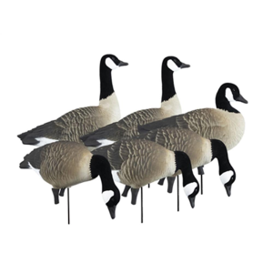 United States Association of Gun Owners Higdon Outdoors APEX Full-Size Full-Body Variety Pack - Canada Goose - $160.76 at United States Association of Gun Owners