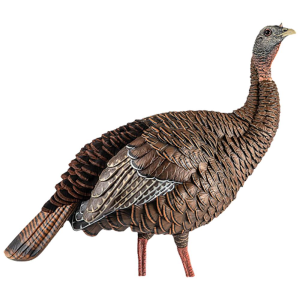 United States Association of Gun Owners Avian X HDR Hen Turkey Decoy AVX-AVX8106 Multi-Color - $159.99 at United States Association of Gun Owners