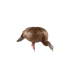 United States Association of Gun Owners Avian X HDR Feeding Hen Multi-Color Turkey Decoy - $159.99 at United States Association of Gun Owners