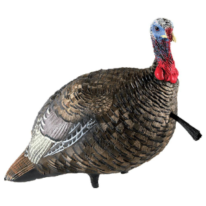 United States Association of Gun Owners Avian X LCD Quarter-Strut Jake Turkey Decoy - $119.99 at United States Association of Gun Owners