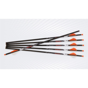 United States Association of Gun Owners Ravin Premium Arrows (match weight) 500 grain HD .001 6PK - $117.16 at United States Association of Gun Owners