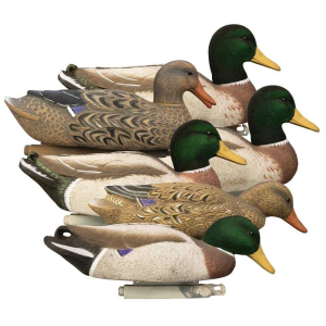 United States Association of Gun Owners Higdon Outdoors Magnum Mallard Flocked Heads 6pk - $93.29 at United States Association of Gun Owners