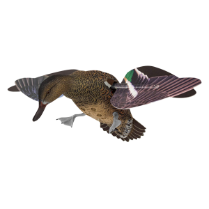 United States Association of Gun Owners Avian X AVXPFLHT PowerFlight Hen Green-Winged Teal Decoy - $89.99 at United States Association of Gun Owners