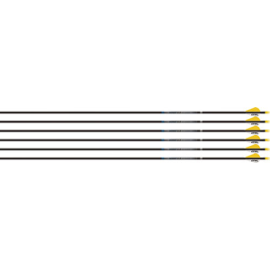 United States Association of Gun Owners EASTON ARROW SONIC 6.0 500 - W/2" BULLY VANES 6-PACK - $79.99 at United States Association of Gun Owners