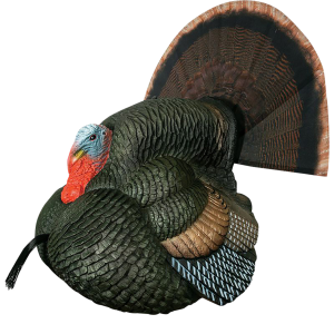 United States Association of Gun Owners Primos 69076 Lil' Gobblestopper Strutter Box Call Turkey Sounds - $69.54 at United States Association of Gun Owners