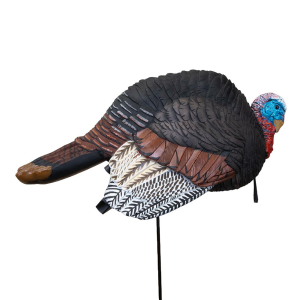 United States Association of Gun Owners Higdon Hard Body Breeding Jake Turkey Decoy - $74.87 at United States Association of Gun Owners