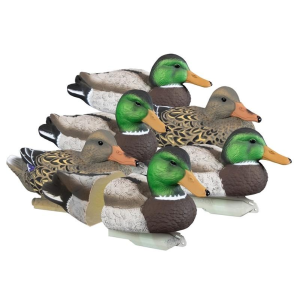 United States Association of Gun Owners Higdon Outdoors Standard Mallard Foam Filled 6pk - $59.39 at United States Association of Gun Owners