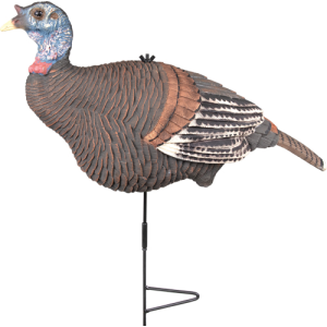 United States Association of Gun Owners KNIGHT AND HALE LOOKOUT HEN - DECOY W/ GROUND STAKE - $38.28 at United States Association of Gun Owners