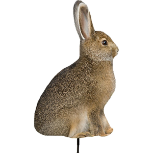United States Association of Gun Owners Montana Decoy Co Miss Hoptober Decoy - $24.08 at United States Association of Gun Owners