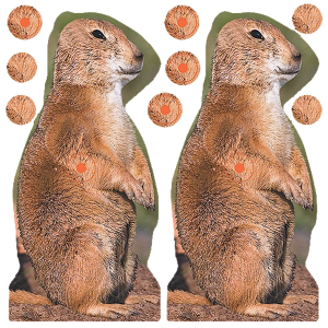 United States Association of Gun Owners Birchwood Casey 34786 Shoot-N-C Reactive Target Self-Adhesive Paper Brown 8" Prairie Chuck 12 Pack - $5.24 at United States Association of Gun Owners
