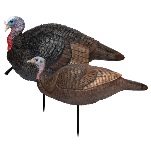 Primos 69075 Lil' Gobblestopper Jake & Hen Combo Turkey Species Multi Color