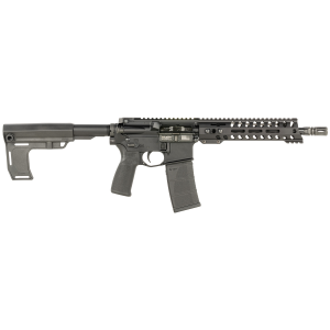 United States Association of Gun Owners Patriot Ordnance Factory 2172 P15 Constable 5.56 NATO 30+1 10.50" M-LOK Handguard, Black Anodized Aluminum Receiver w/Picatinny Rail, Black Polymer MFT Blade Stabilizer, MFT Grip - $770.80 at United States Association of Gun Owners