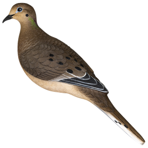 Avian X AVXDOVE6PK Full Body Dove Multi-Color Decoy, 6 Pack