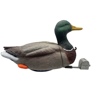 Mojo Outdoors HW2554 Dabbler Duck Mallard Drake Species