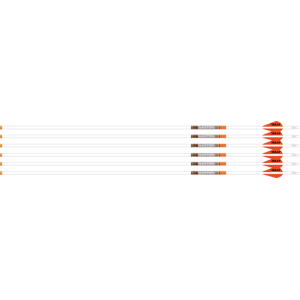 Easton Arrow 6.5mm Whiteout 300 Spine with 2" Bully Vanes, 6-Pack
