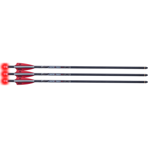 United States Association of Gun Owners TENPOINT CenterPunch HPX 20" Arrows, Alpha-Blaze HPX 3PK - HEA-779.3 - $102.53 at United States Association of Gun Owners