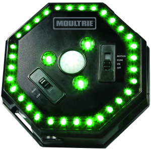 Moultrie Feeder Hog Light Black Green Filter 30 ft Range - MFA12651