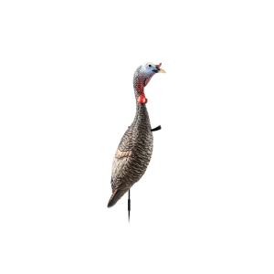 FLEXTONE FLX-FLXDY330 FUNKY CHICKEN GEN. 2