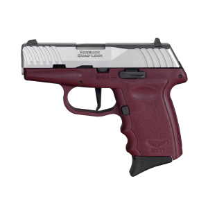 SCCY DVG-1 9mm Handgun with 10rd Magazine and Stainless Slide