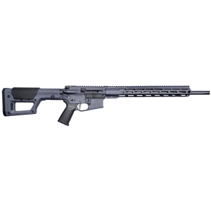 Rise Armament Watchman XR 22 ARC Semi-Auto 18" Rifle