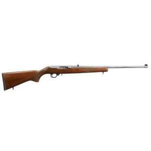 Ruger 10/22 22lr Ss/wd 22"