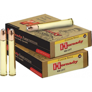 20rd Box Ammo