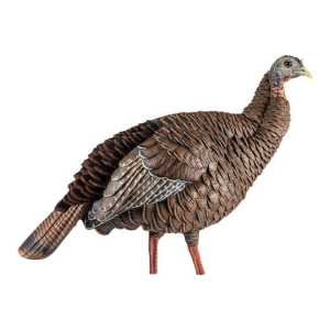 Avian X AVX-AVX8106 HDR Hen Turkey Species Multi Color