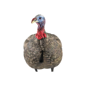 Avian X AVXAVX8003 LCD Quarter-Strut Jake Turkey Species Multi Color Dura-Rubber
