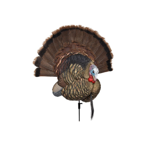 Avian X AVXAVX8021 Trophy Tom Turkey Species Multi Color