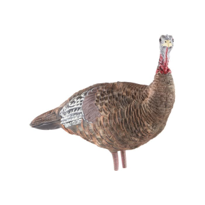 Avian X AVX-AVX8006 LCD Lookout Hen Turkey Species Multi Color Dura-Rubber