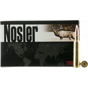 20rd Box Ammo