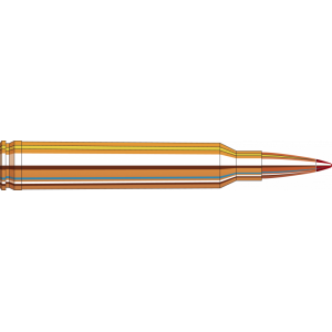 20rd Box Ammo