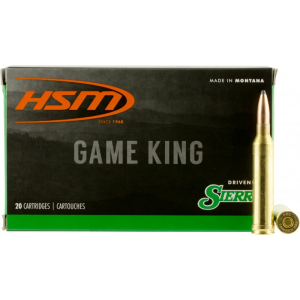 20rd Box Ammo