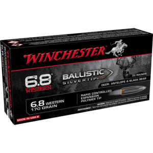 20rd Box Ammo