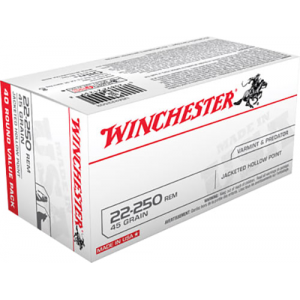 40rd Box Ammo