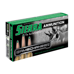 20rd Box Ammo
