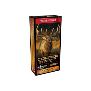 20rd Box Ammo