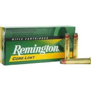20rd Box Ammo