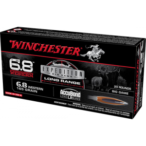 20rd Box Ammo