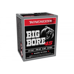 20rd Box Ammo