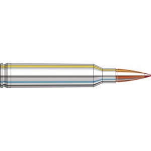 20rd Box Ammo