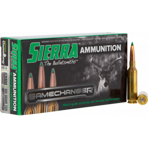 20rd Box Ammo