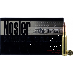 20rd Box Ammo
