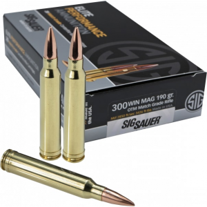 20rd Box Ammo
