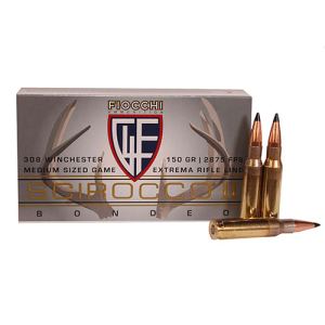 20rd Box Ammo