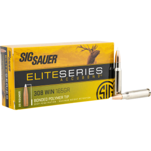 20rd Box Ammo