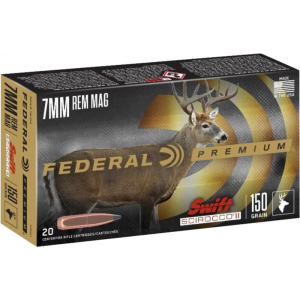20rd Box Ammo