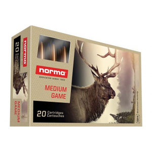 20rd Box Ammo