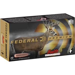 20rd Box Ammo