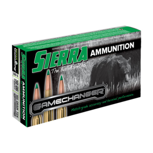 20rd Box Ammo